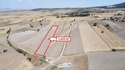 Kütahya Altıntaş Karaağaç Köyü 2633 M2 Satılık Tarla 24