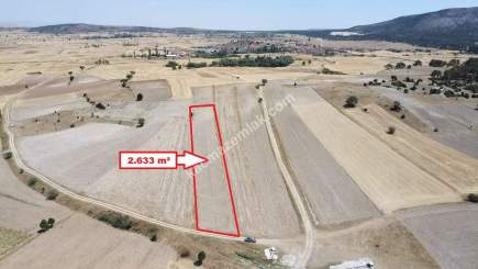 Kütahya Altıntaş Karaağaç Köyü 2633 M2 Satılık Tarla 14