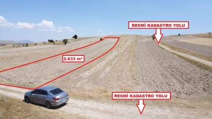 Kütahya Altıntaş Karaağaç Köyü 2633 M2 Satılık Tarla 8