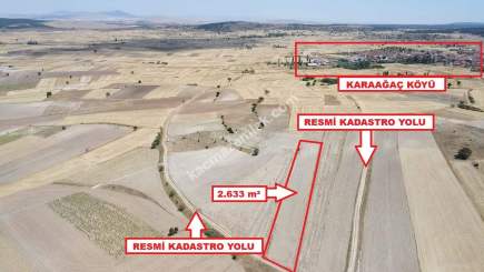 Kütahya Altıntaş Karaağaç Köyü 2633 M2 Satılık Tarla 3