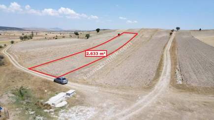 Kütahya Altıntaş Karaağaç Köyü 2633 M2 Satılık Tarla 19