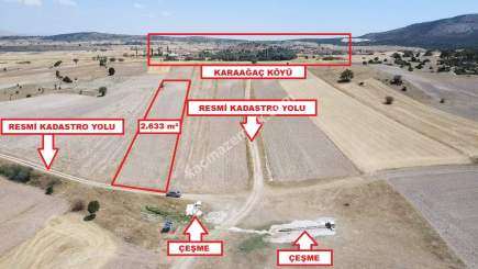 Kütahya Altıntaş Karaağaç Köyü 2633 M2 Satılık Tarla