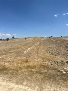 Kütahya Altıntaş Karaağaç Köyü 2633 M2 Satılık Tarla 30