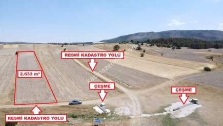 Kütahya Altıntaş Karaağaç Köyü 2633 M2 Satılık Tarla 7