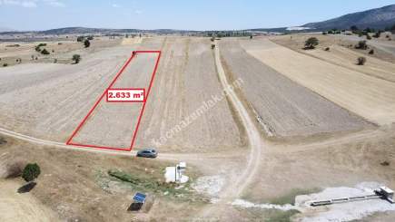 Kütahya Altıntaş Karaağaç Köyü 2633 M2 Satılık Tarla 17