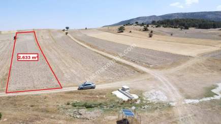 Kütahya Altıntaş Karaağaç Köyü 2633 M2 Satılık Tarla 12