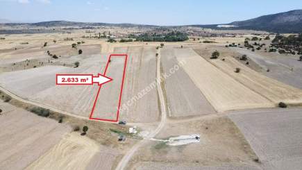 Kütahya Altıntaş Karaağaç Köyü 2633 M2 Satılık Tarla 21