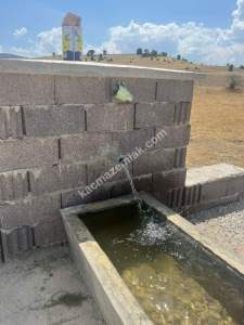 Kütahya Altıntaş Karaağaç Köyü 2633 M2 Satılık Tarla 9