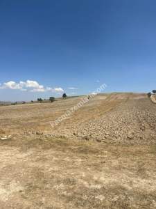 Kütahya Altıntaş Karaağaç Köyü 2633 M2 Satılık Tarla 31