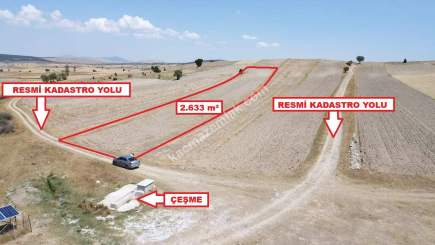 Kütahya Altıntaş Karaağaç Köyü 2633 M2 Satılık Tarla 6
