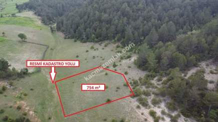 Kütahya Altıntaş Saraycık Köyü 754 M2 Sa 8