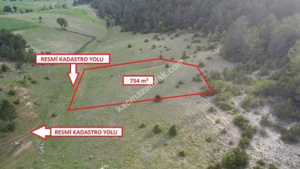 Kütahya Altıntaş Saraycık Köyü 754 M2 Sa 9