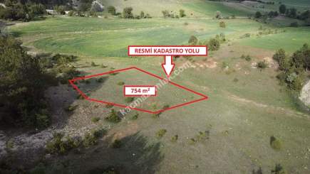 Kütahya Altıntaş Saraycık Köyü 754 M2 Sa 17