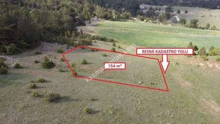 Kütahya Altıntaş Saraycık Köyü 754 M2 Sa 19