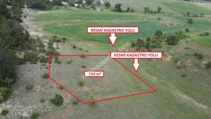 Kütahya Altıntaş Saraycık Köyü 754 M2 Sa 10