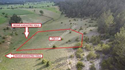 Kütahya Altıntaş Saraycık Köyü 754 M2 Sa 13