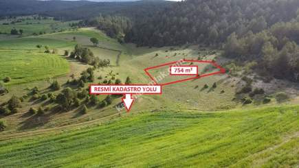 Kütahya Altıntaş Saraycık Köyü 754 M2 Sa 7