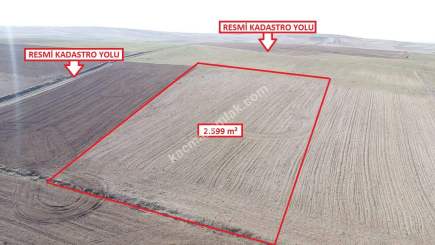 Kütahya Altıntaş Üçüyük 2599M2 Satılık Tarla 13