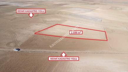 Kütahya Altıntaş Üçüyük 2599M2 Satılık Tarla 15