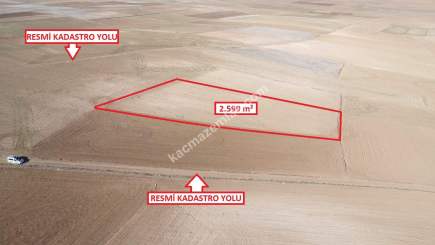 Kütahya Altıntaş Üçüyük 2599M2 Satılık Tarla 14