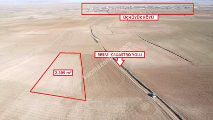 Kütahya Altıntaş Üçüyük 2599M2 Satılık Tarla 2