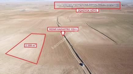 Kütahya Altıntaş Üçüyük 2599M2 Satılık Tarla 7