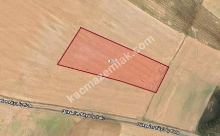 Kütahya Altıntaş Üçüyük 2599M2 Satılık Tarla 27