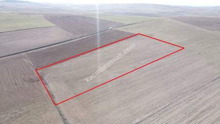 Kütahya Altıntaş Üçüyük 2599M2 Satılık Tarla 25