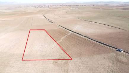 Kütahya Altıntaş Üçüyük 2599M2 Satılık Tarla 19