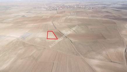 Kütahya Altıntaş Üçüyük 2599M2 Satılık Tarla 26