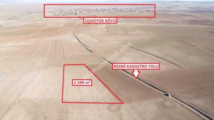Kütahya Altıntaş Üçüyük 2599M2 Satılık Tarla 6