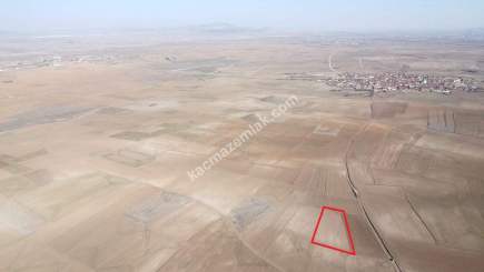 Kütahya Altıntaş Üçüyük 2599M2 Satılık Tarla 31