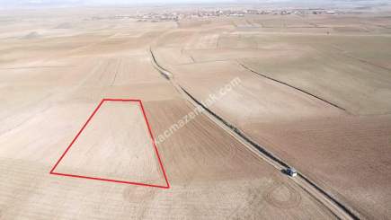 Kütahya Altıntaş Üçüyük 2599M2 Satılık Tarla 28