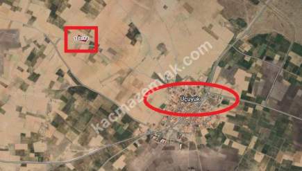 Kütahya Altıntaş Üçüyük 2599M2 Satılık Tarla 12