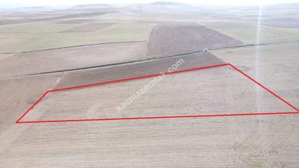 Kütahya Altıntaş Üçüyük 2599M2 Satılık Tarla 24