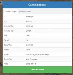 Kütahya Altıntaş Üçüyük 2599M2 Satılık Tarla 11