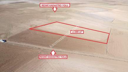 Kütahya Altıntaş Üçüyük 2599M2 Satılık Tarla 17