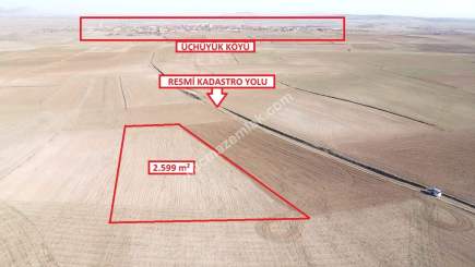 Kütahya Altıntaş Üçüyük 2599M2 Satılık Tarla 3