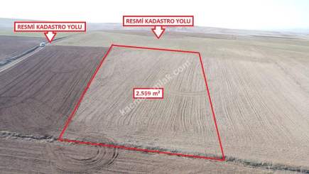 Kütahya Altıntaş Üçüyük 2599M2 Satılık Tarla 10