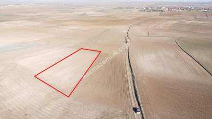 Kütahya Altıntaş Üçüyük 2599M2 Satılık Tarla 30