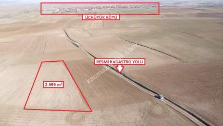 Kütahya Altıntaş Üçüyük 2599M2 Satılık Tarla 4