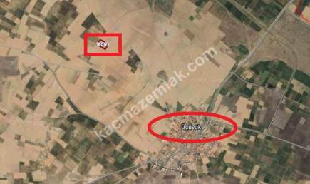 Kütahya Altıntaş Üçüyük' De 5385M2 Satılık Tarla 11