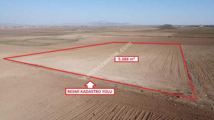 Kütahya Altıntaş Üçüyük' De 5385M2 Satılık Tarla 15