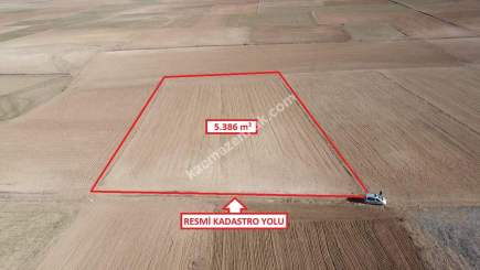 Kütahya Altıntaş Üçüyük' De 5385M2 Satılık Tarla 20