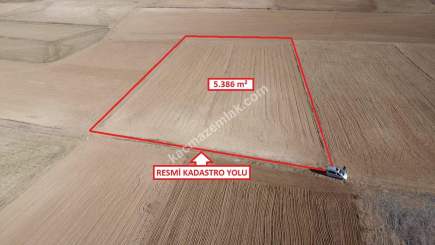 Kütahya Altıntaş Üçüyük' De 5385M2 Satılık Tarla 19