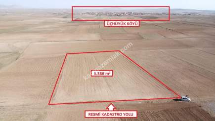 Kütahya Altıntaş Üçüyük' De 5385M2 Satılık Tarla 6