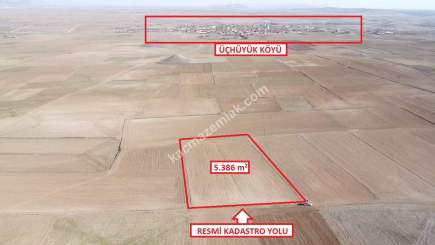 Kütahya Altıntaş Üçüyük' De 5385M2 Satılık Tarla 5