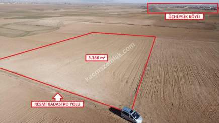 Kütahya Altıntaş Üçüyük' De 5385M2 Satılık Tarla 4