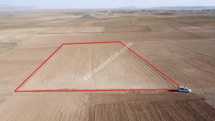 Kütahya Altıntaş Üçüyük' De 5385M2 Satılık Tarla 17