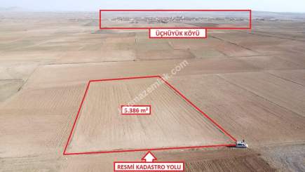 Kütahya Altıntaş Üçüyük' De 5385M2 Satılık Tarla 21